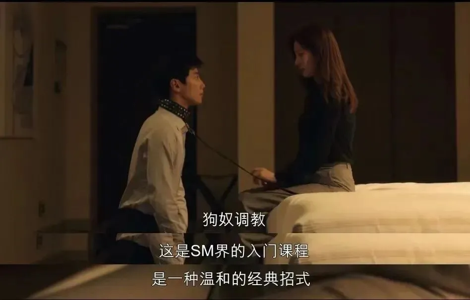 【西檬之家】K9是什么?BDSM圈内犬系角色扮演深度解析