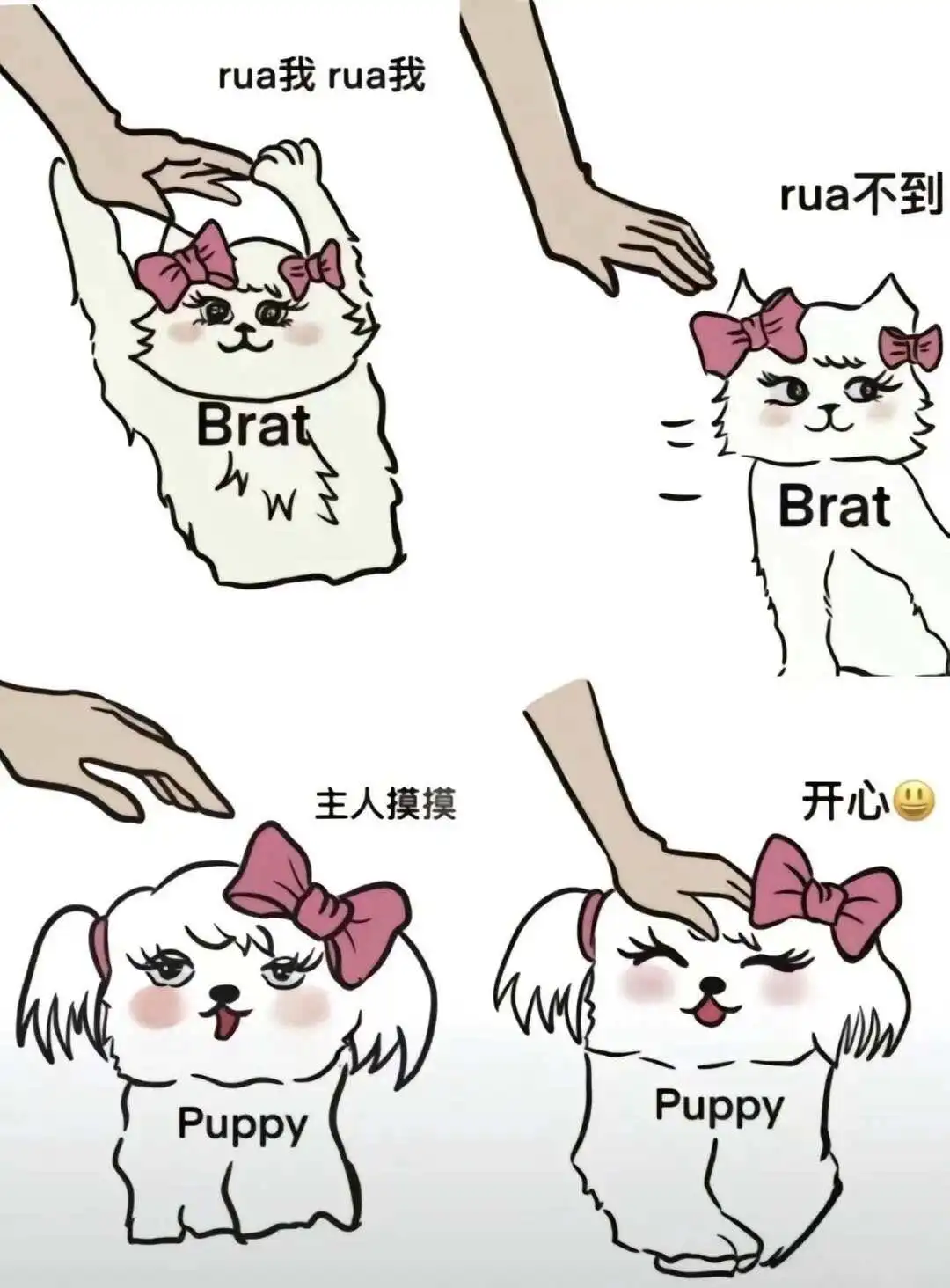 西檬之家-DS关系全解析：从新手到进阶的BDSM旅程
