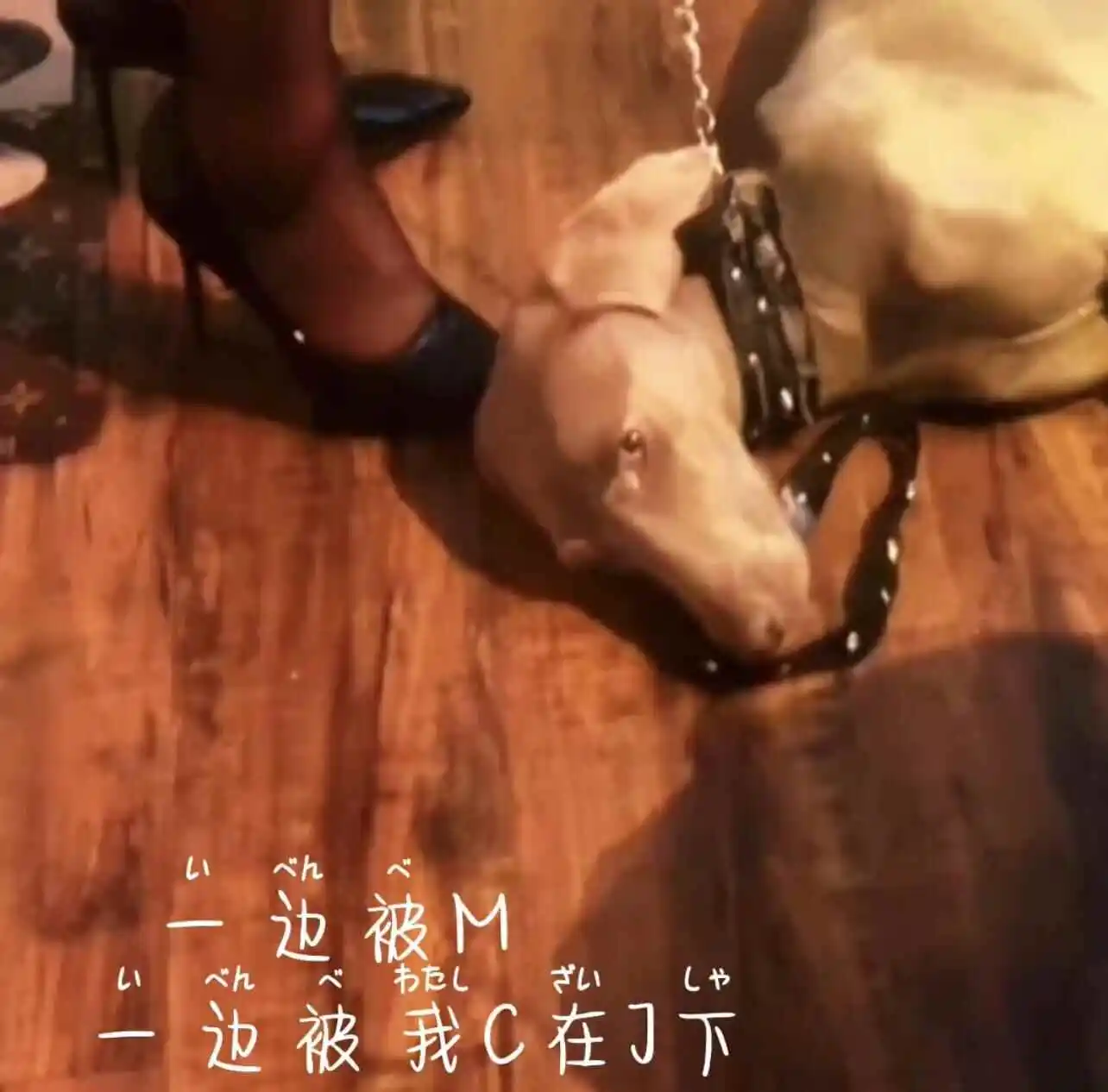 BDSM入圈 - 2023_11_07_20_50_IMG_8911