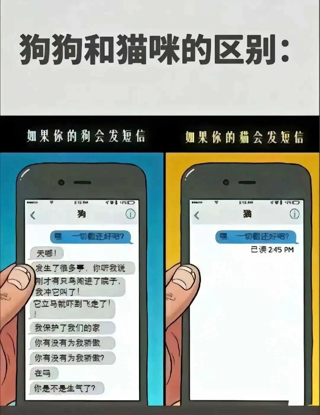 BD - 微信图片_20250713011414