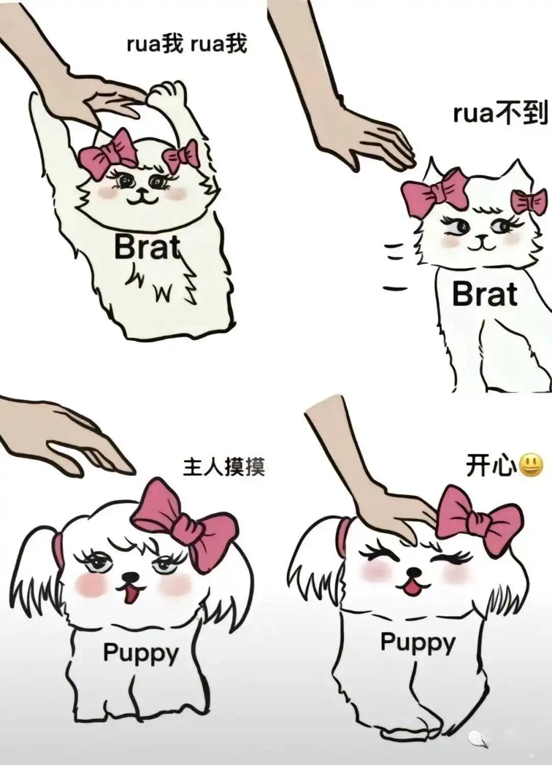西檬之家-k8猫系角色解析：字母圈新人必知的Dom/sub权力动态